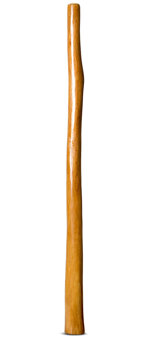 Gloss Finish Flared Didgeridoo (TW928)